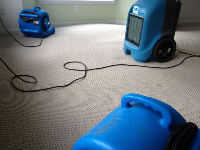 Floor cleaning, carpet cleaning, floor restoration, couch cleaning, upholstery cleaning, house cleaning, water damage, gainesville, gainesville fl, gainesville florida, commercial cleaning, office cleaning, commericial floor cleaning, office floor cleaning, office carpet cleaning, office water damage.